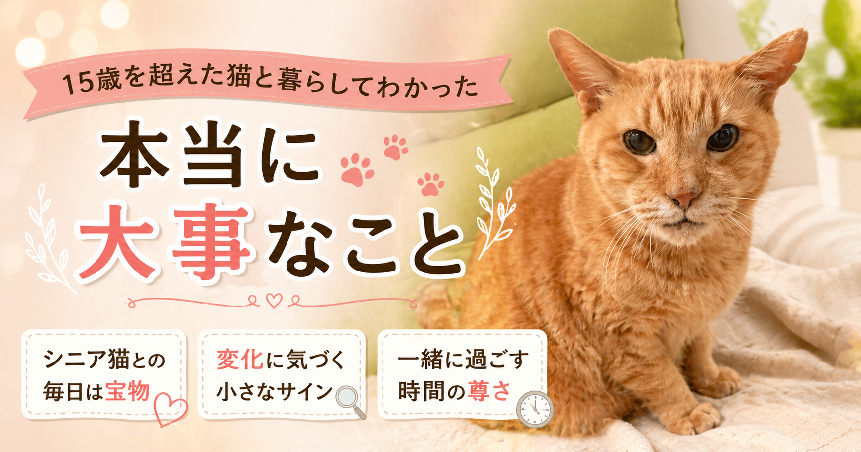 15歳を超えた猫と暮らしてわかった「本当に大事だったこと」