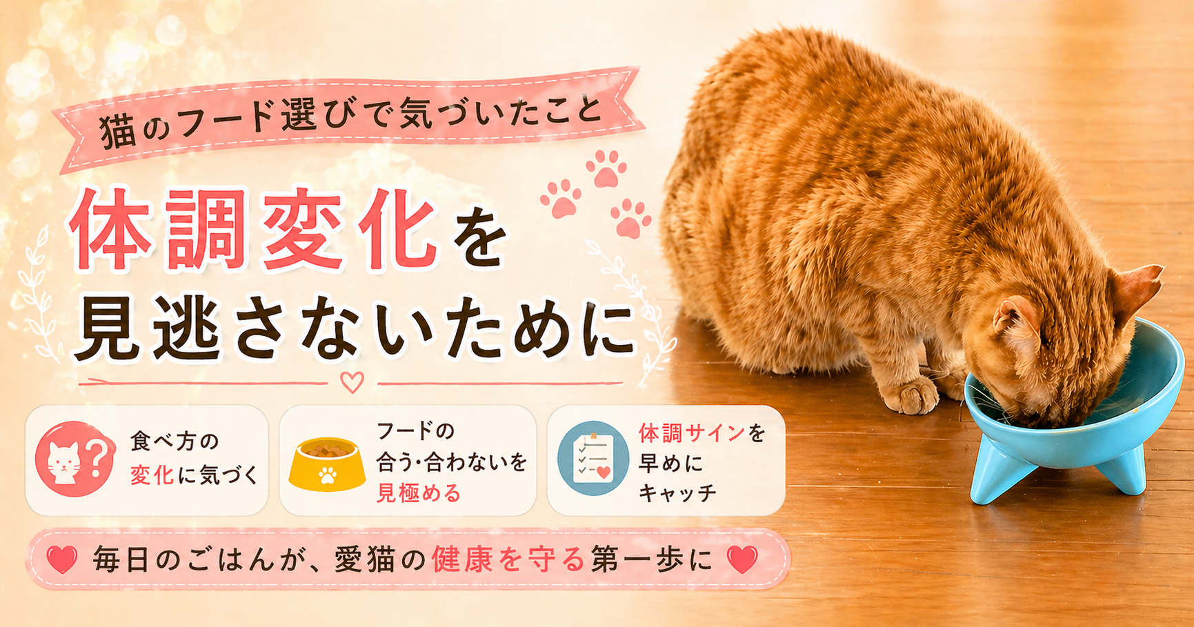 猫のごはん、何を基準に選ぶ？年齢・体調別に考えるフード選び