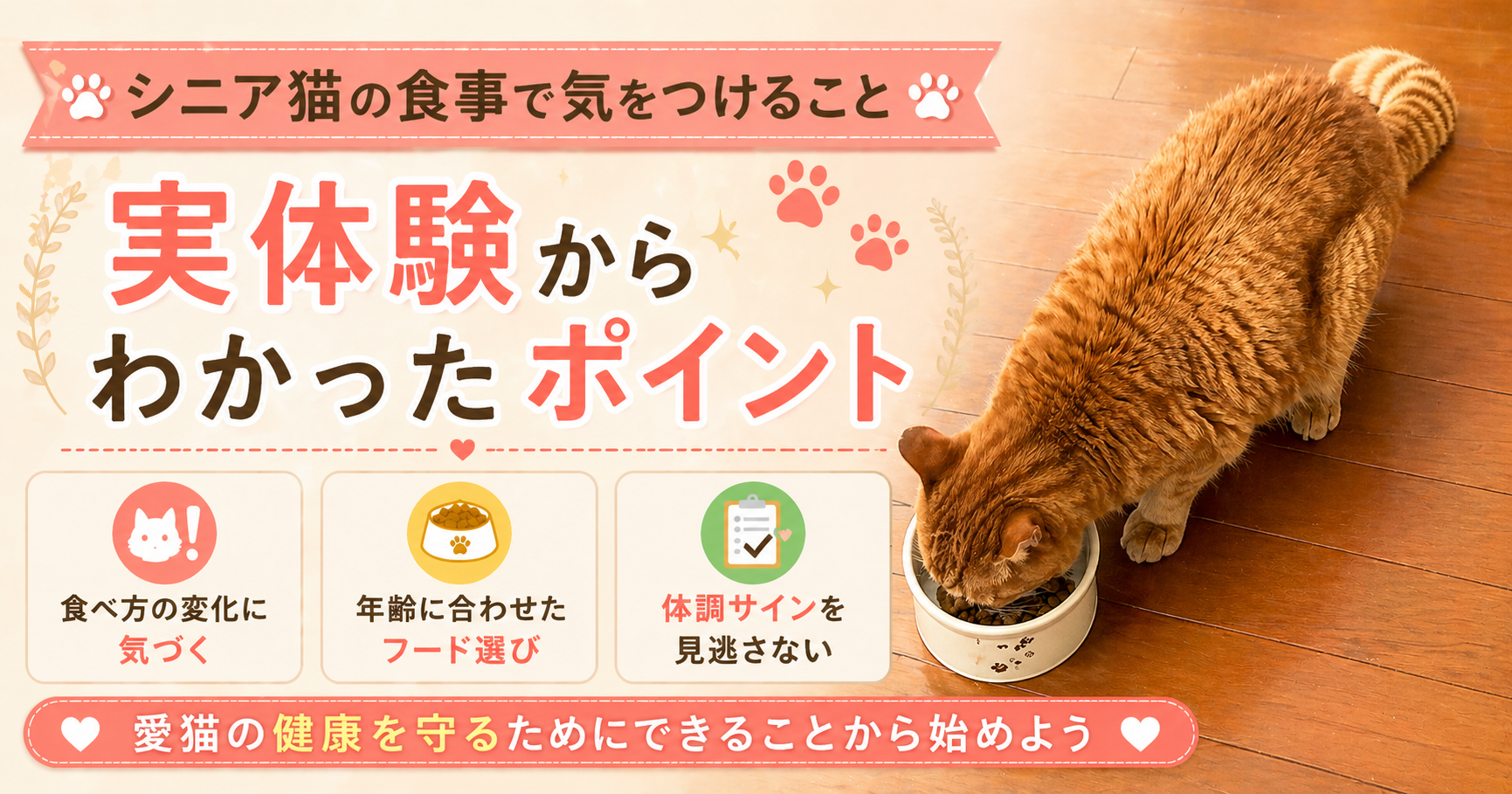 シニア猫の食事で気をつけること