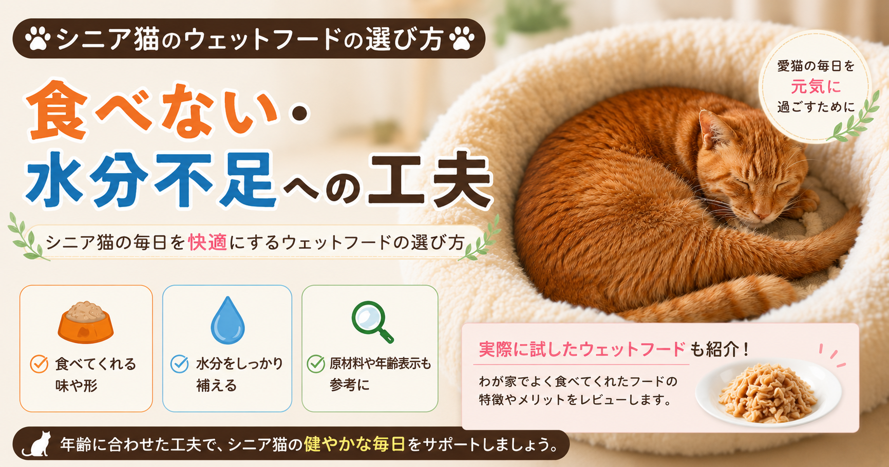 ウエットフードの選び方