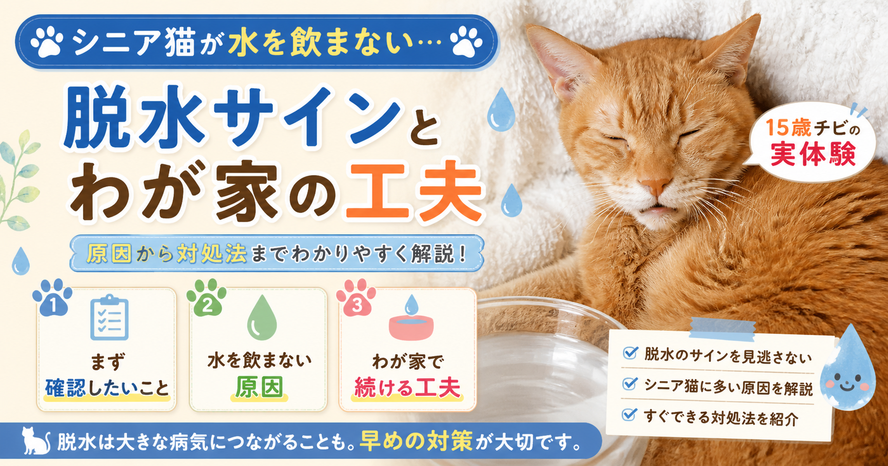 シニア猫が水を飲まないときの対処法