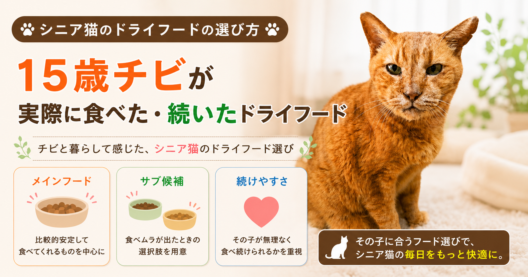 シニア猫のドライフードの選び方