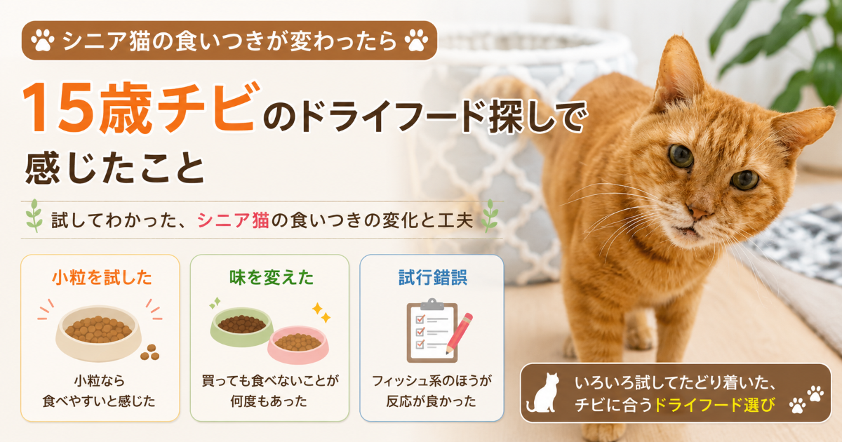 15歳チビのドライフード探しで感じたこと