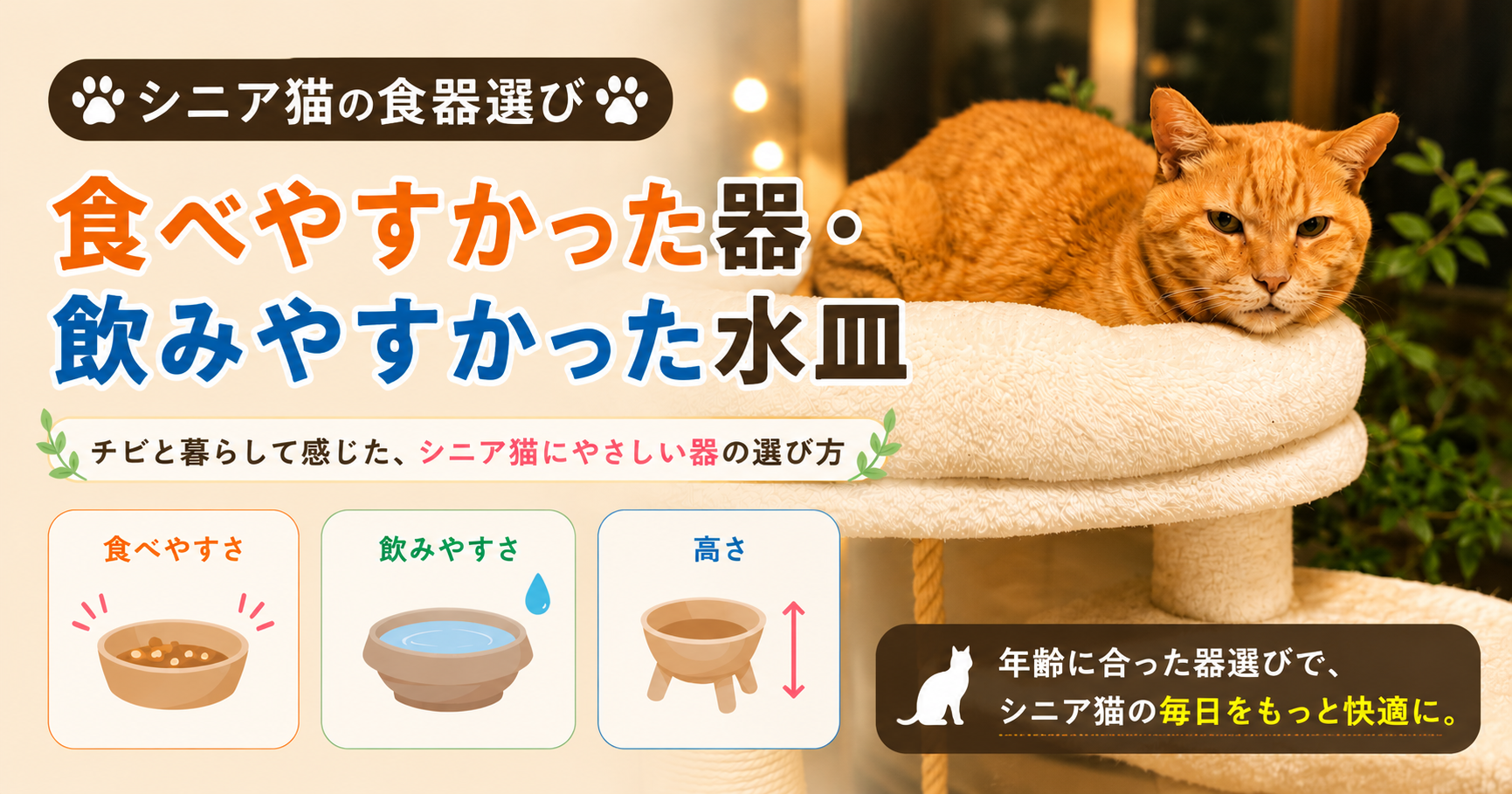 シニア猫の食器選び