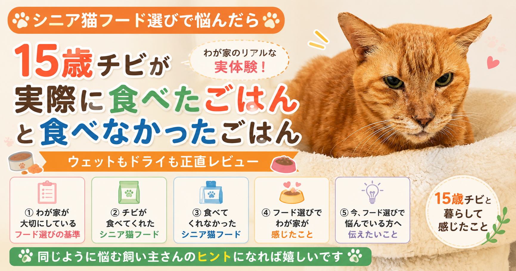チビが食べたごはん、食べなかったご飯